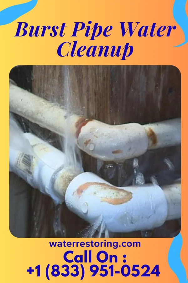 Burst Pipe Water Cleanup in Ozora, MO