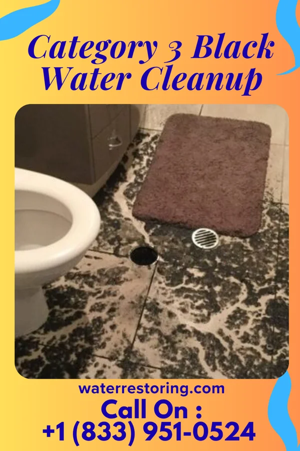 Category 3 Black Water Cleanup in Ozora, MO