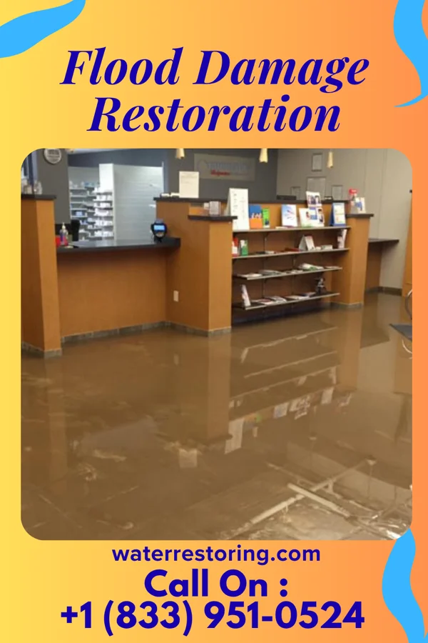 Flood Damage Restoration in Ozora, MO