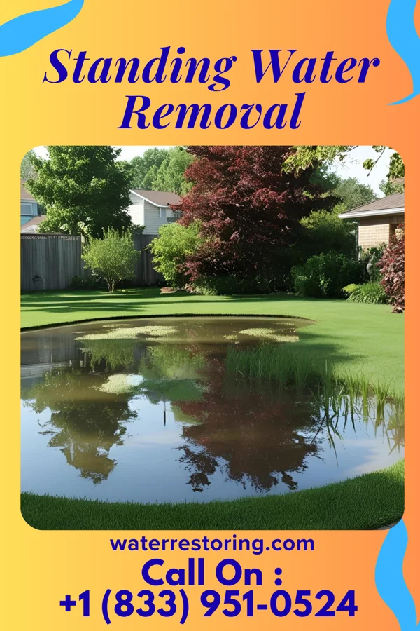 Standing Water Removal in Ozora, MO